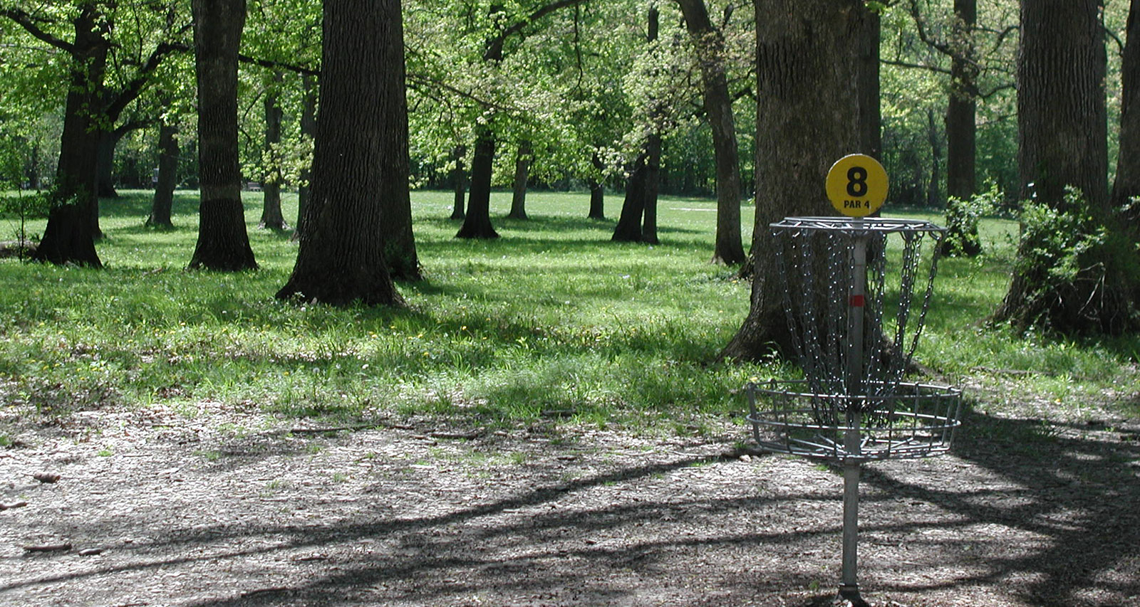 Photo: Disc-Golf-Hero-1.jpg